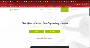 WordPress Themes