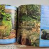 Magical Places of Britain: Book 1 by Rob Wildwood - Image 3