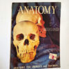 Anatomy by Walter T Foster: Anatomy for Teachers and Students - Image 2