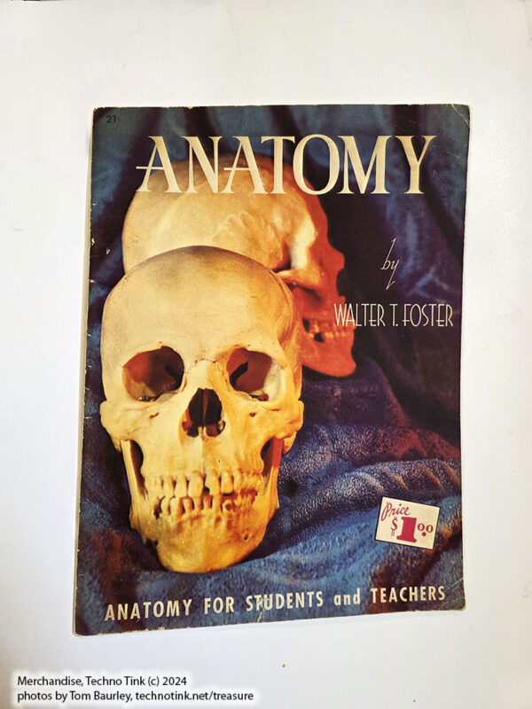 Anatomy by Walter T Foster: Anatomy for Teachers and Students