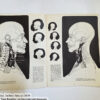 Anatomy by Walter T Foster: Anatomy for Teachers and Students - Image 3