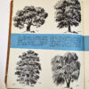 The Art of Drawing Trees (B-370) Grumbacher Library - Image 9