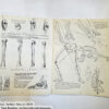 Anatomy by Walter T Foster: Anatomy for Teachers and Students - Image 7
