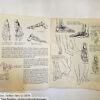 Anatomy by Walter T Foster: Anatomy for Teachers and Students - Image 8