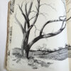 The Art of Drawing Trees (B-370) Grumbacher Library - Image 10