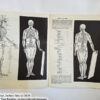 Anatomy by Walter T Foster: Anatomy for Teachers and Students - Image 9