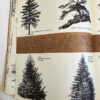 The Art of Drawing Trees (B-370) Grumbacher Library - Image 11