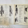 Anatomy by Walter T Foster: Anatomy for Teachers and Students - Image 10