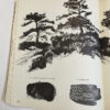 The Art of Drawing Trees (B-370) Grumbacher Library - Image 12