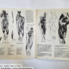 Anatomy by Walter T Foster: Anatomy for Teachers and Students - Image 12